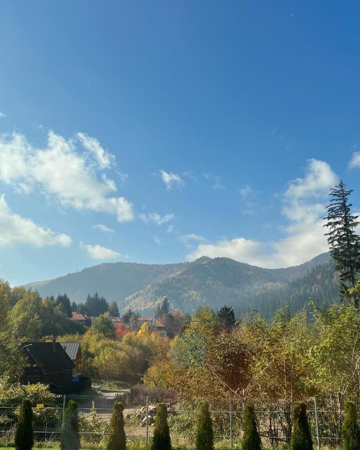 Strada Tiszas Vacation House Baile Tusnad Bagian luar foto