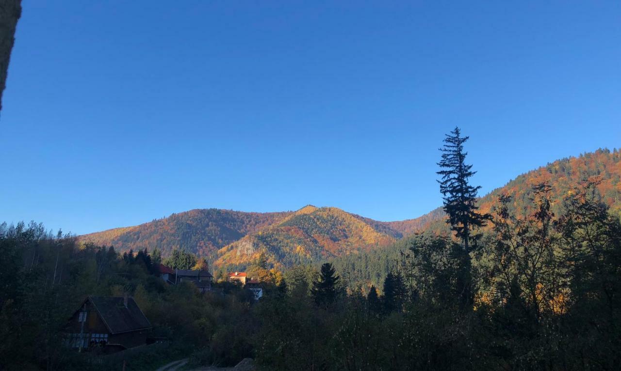 Strada Tiszas Vacation House Baile Tusnad Bagian luar foto